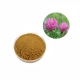 natural health food 8%-40% isoflavones red clover extract powder manufacturer